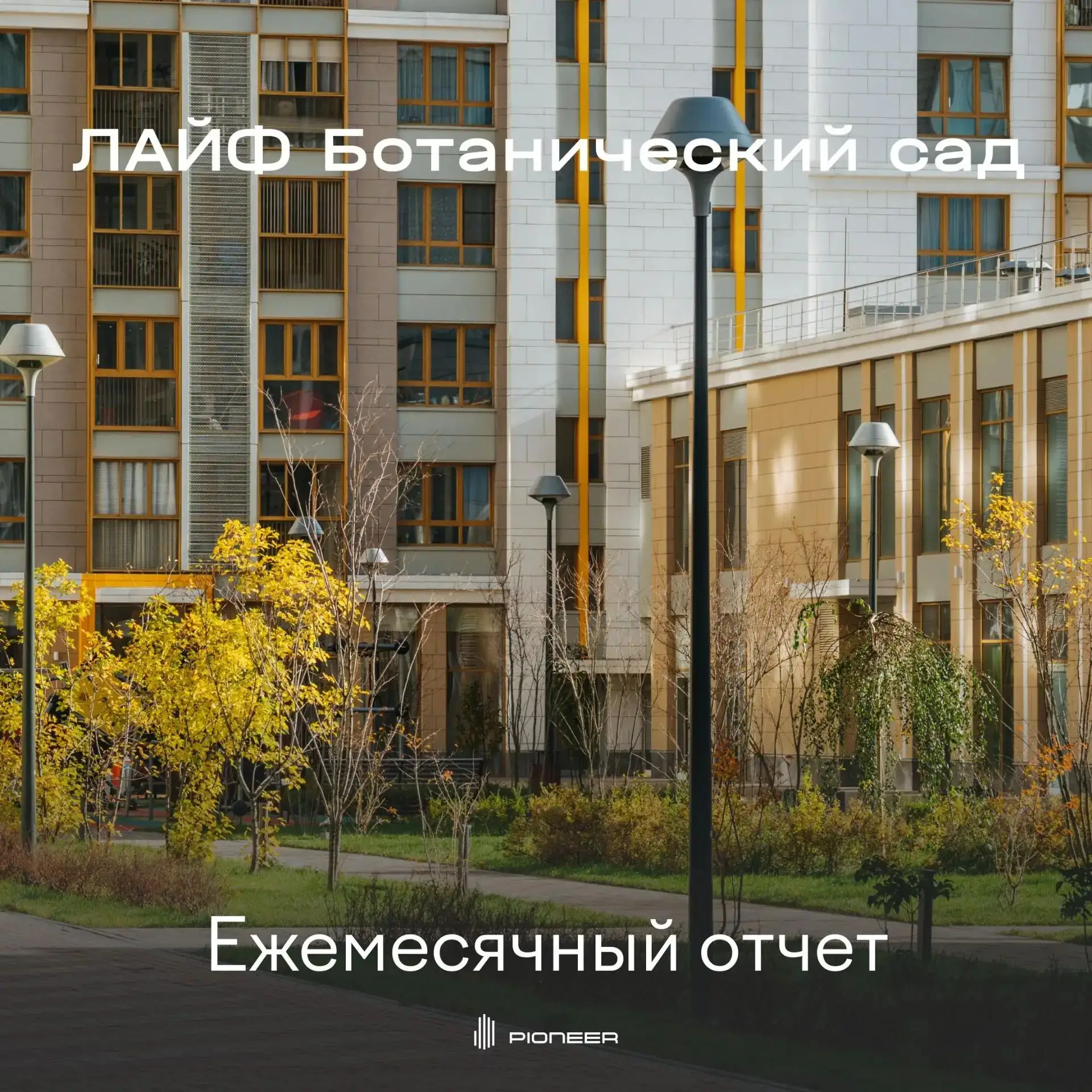 Отчет за август