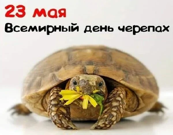 ✨️ У нас всегда интересно ✨️
