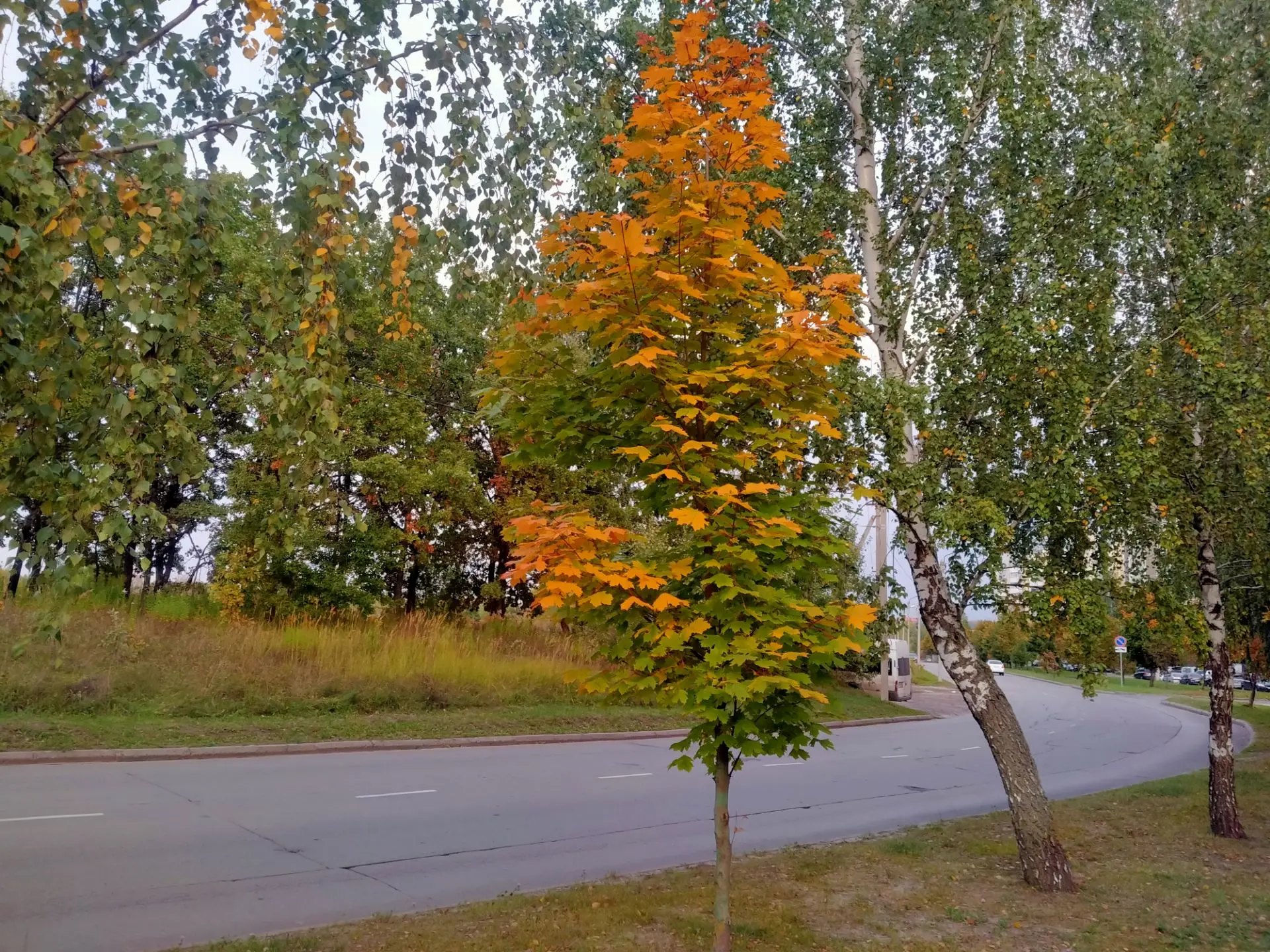 🍁 Железногорцы делятся осенней атмосферой