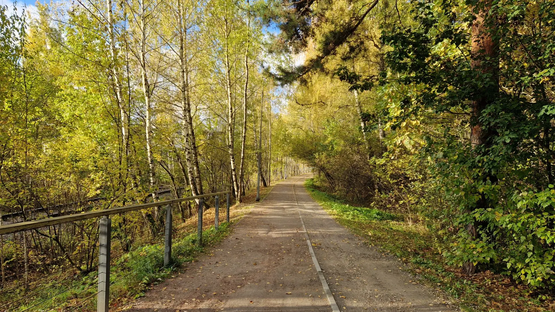 Когда есть возможность пройтись перед работой по лесу 🌞. Благодать).