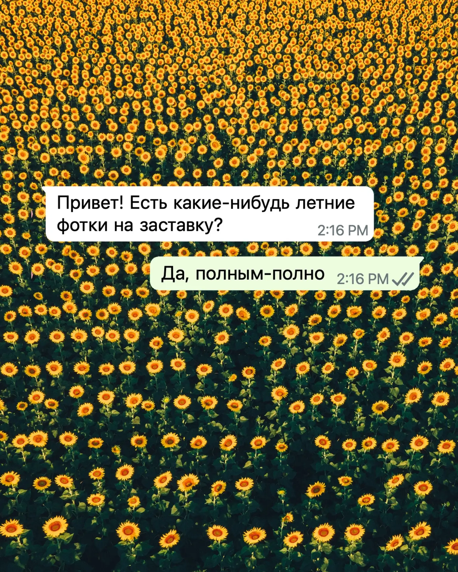 Кому летних картинок на заставку телефона? Переходите по ссылке и скачивайте в оригинал...