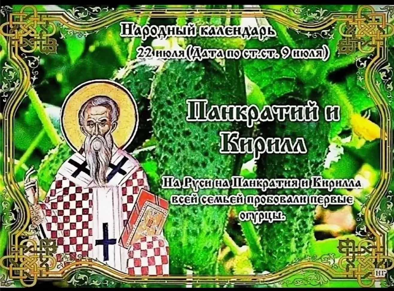 🌿 РУБРИКА НАРОДНЫЙ КАЛЕНДАРЬ 
22 июля — Панкратий и Кирилл 🌿
 
🌿 В этот день отмечается память дв