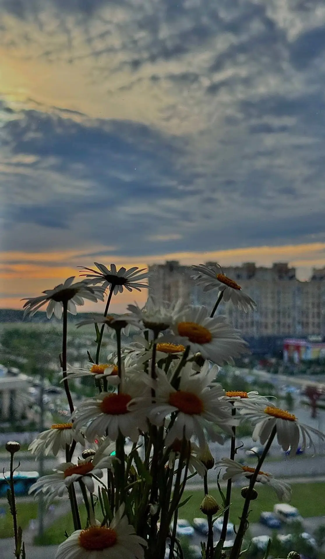 Теплый летний вечер.. 😌🌆
