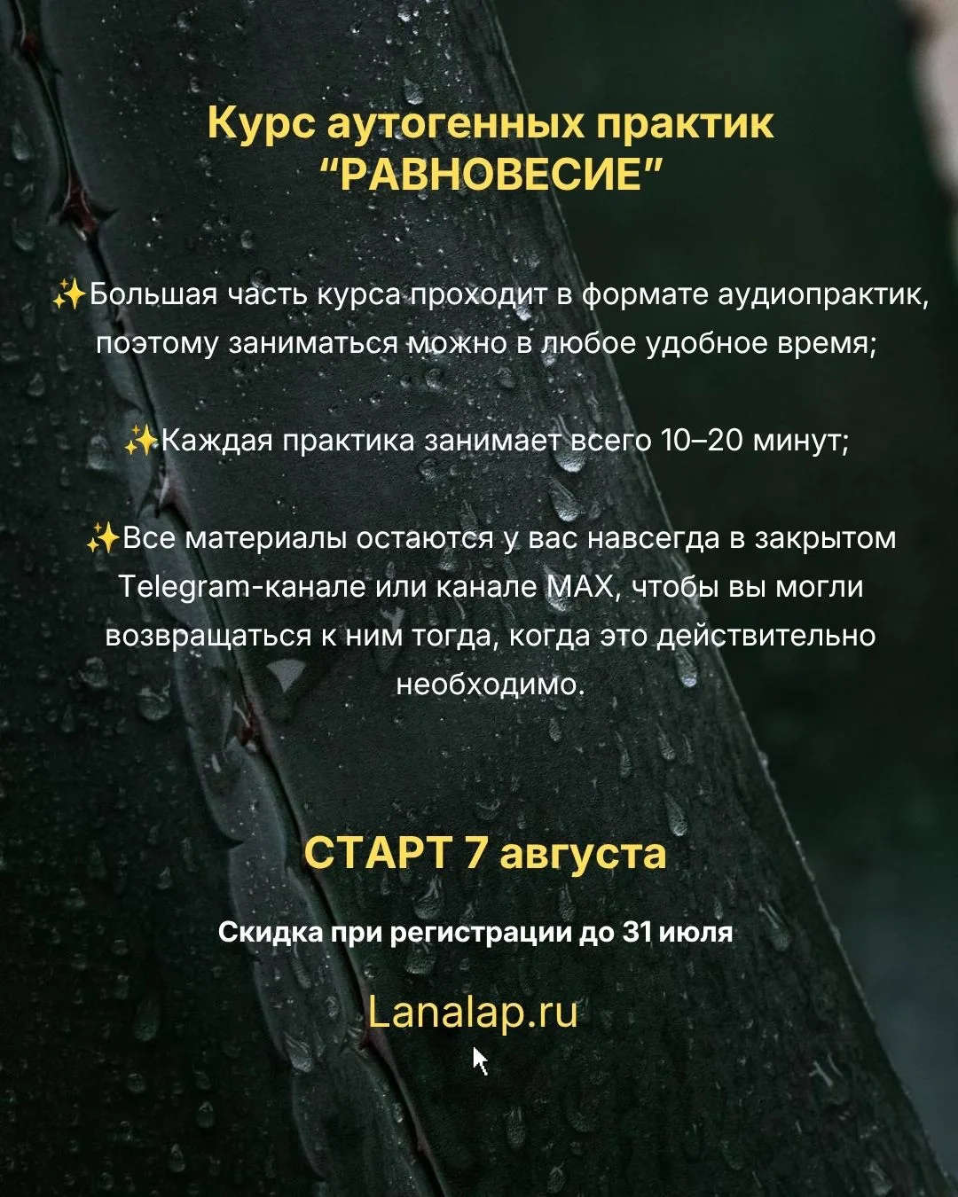 Прийти на курс аутогенных практик со скидкой до 31 июля>>