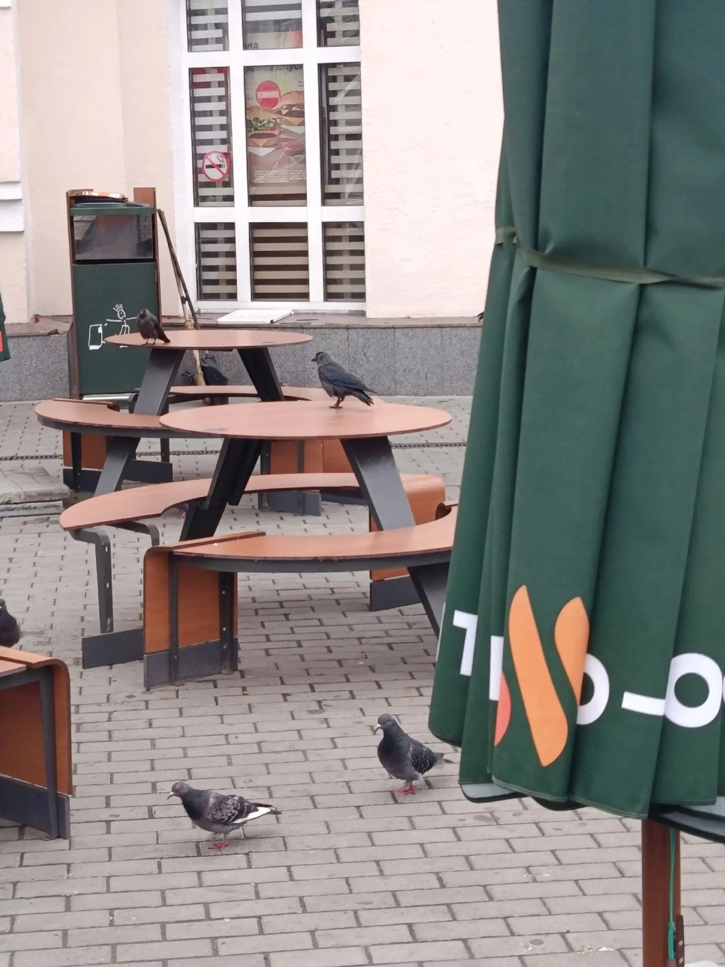 Изображение 1 к публикации «Подслушано во Владимире»