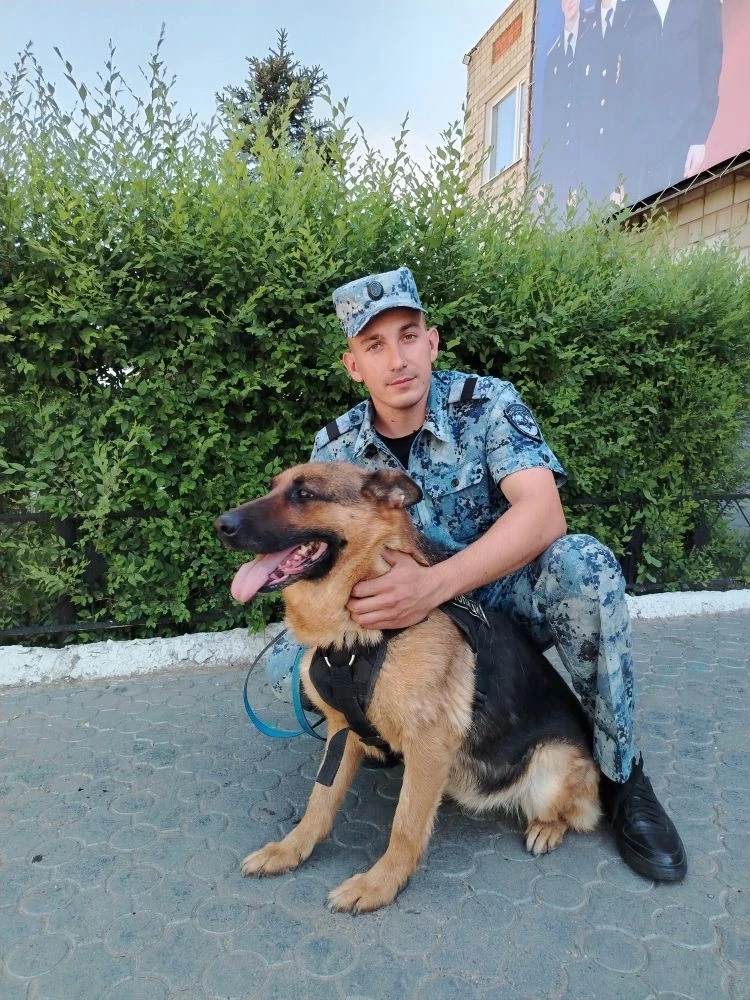 Кинолог Славгородской полиции Виктор Тагильцев знает все о правилах дрессировки и метод...