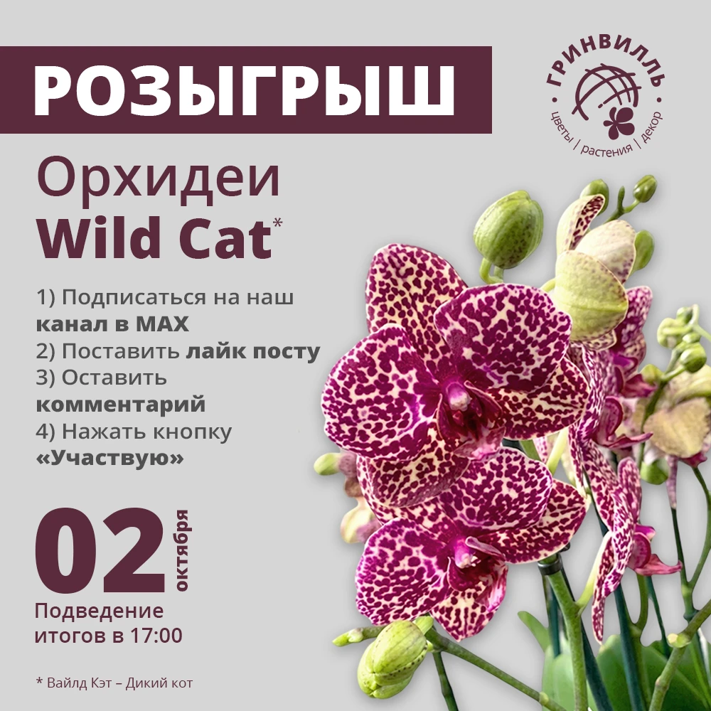 🏁 КОНКУРС ЗАВЕРШЁН!