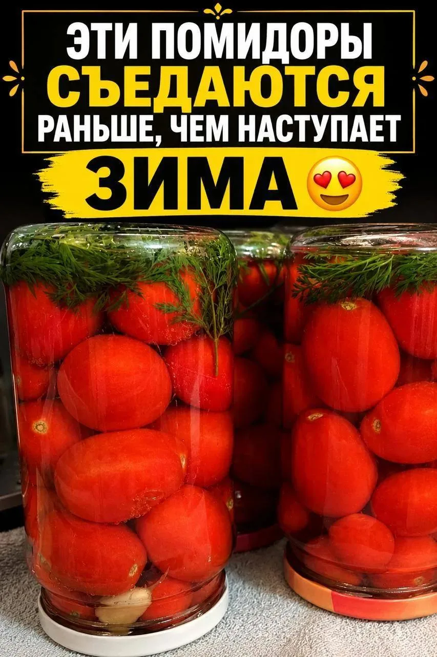 ЭТИ ПОМИДОРЫ СЪЕДАЮТСЯ РАНЬШЕ, ЧЕМ НАСТУПАЕТ ЗИМА 😍