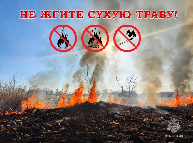 Лес — это не место для экспериментов с огнем