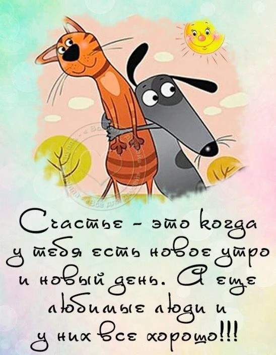 СОЛНЕЧНЫЕ ОТКРЫТКИ