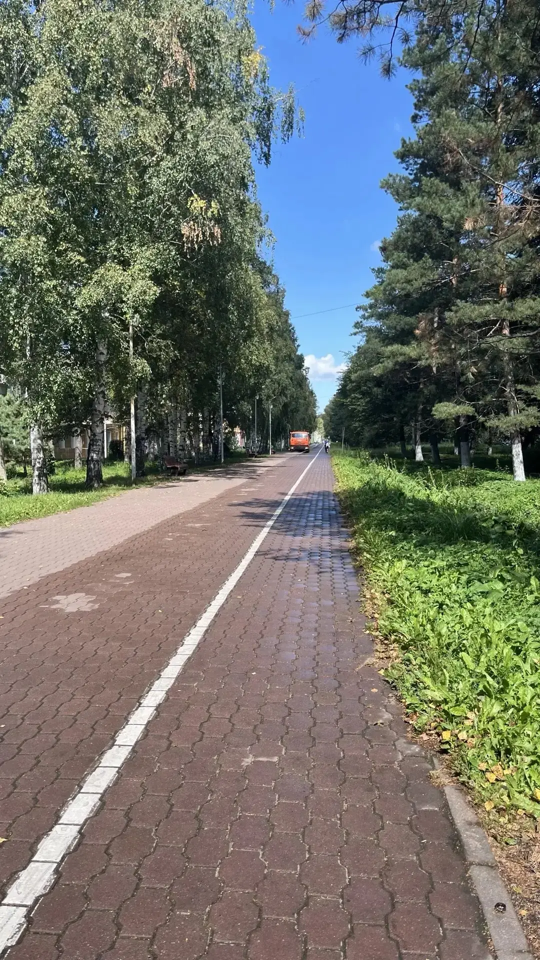 🤗 Ну что же это за чистый город!