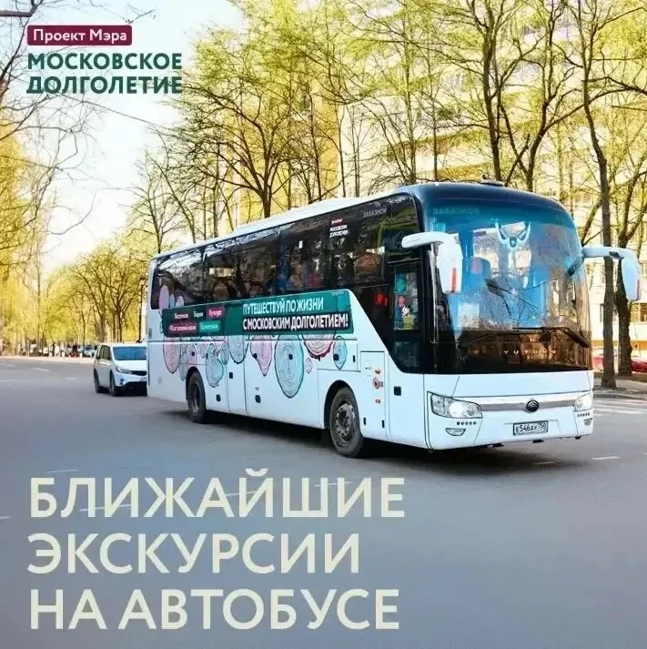 Время отправиться в путешествие! 

Дорогие участники, приглашаем вас присоединиться к экскурсиям про