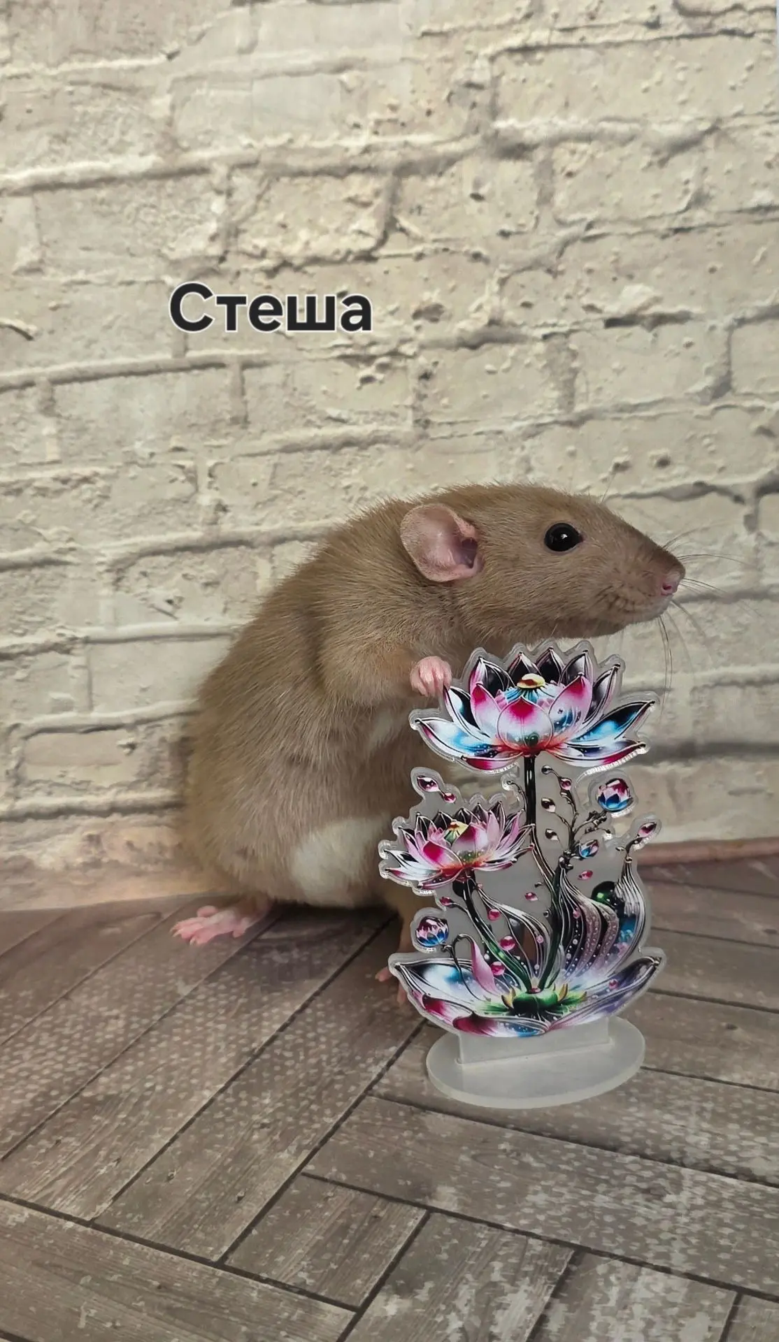 Лемана Про