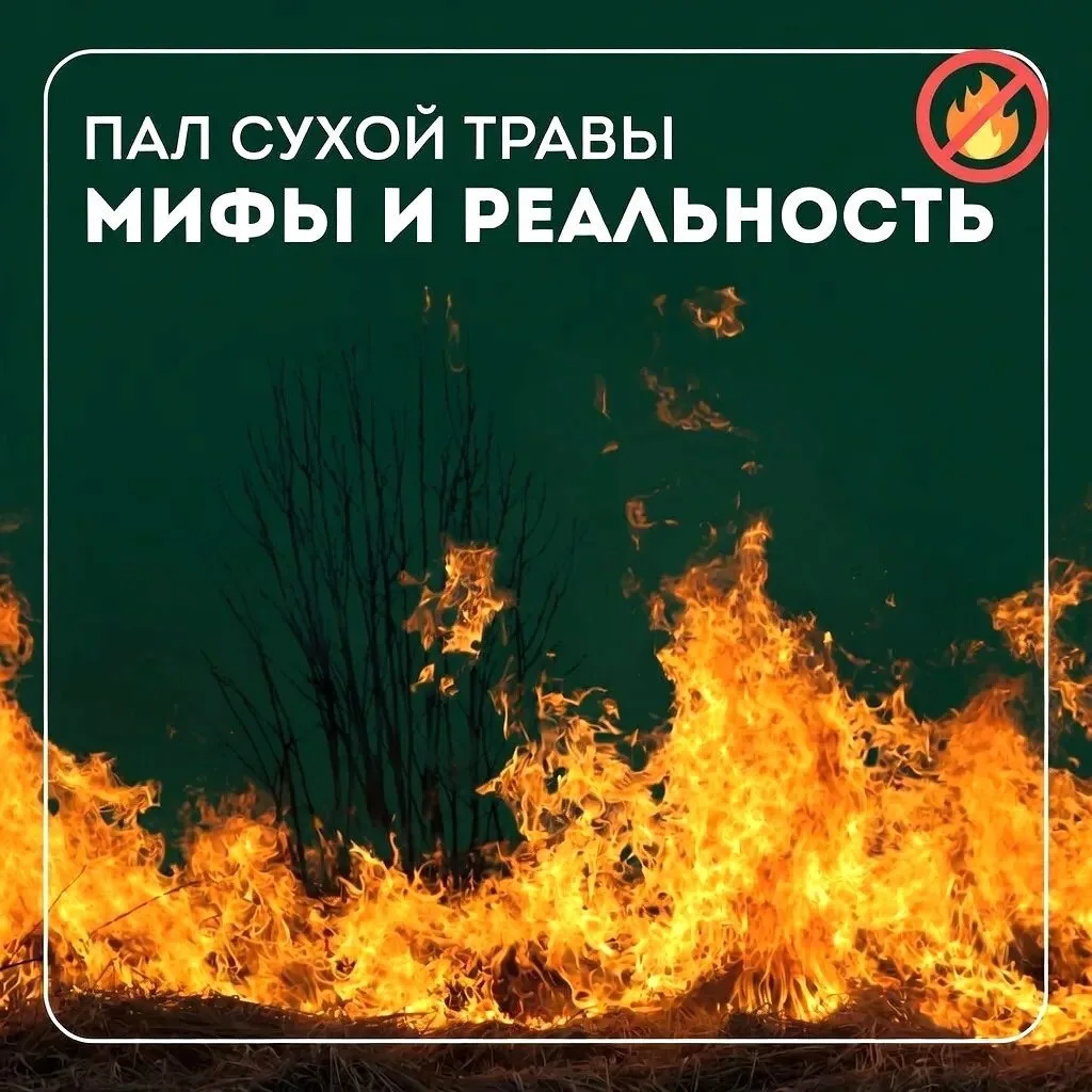 ❗️Пал сухой травы запрещен – он может стать причиной пожаров
