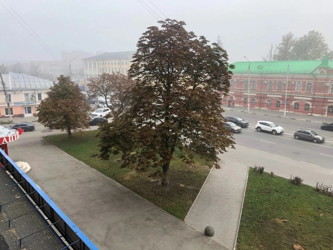 На Советской не осталось лиственниц