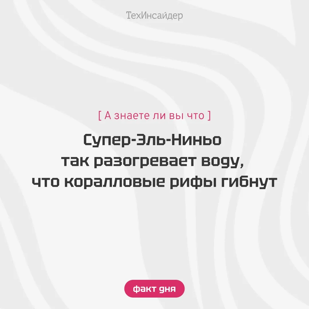 Перегрев океана из-за климатических изменений и феномена Эль-Ниньо провоцирует массовое...