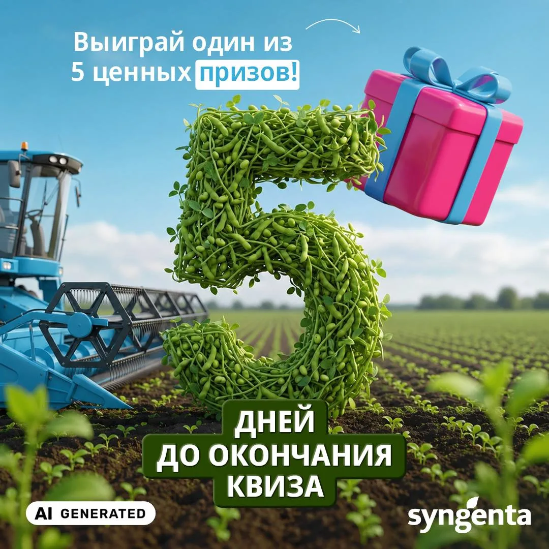 #квиз