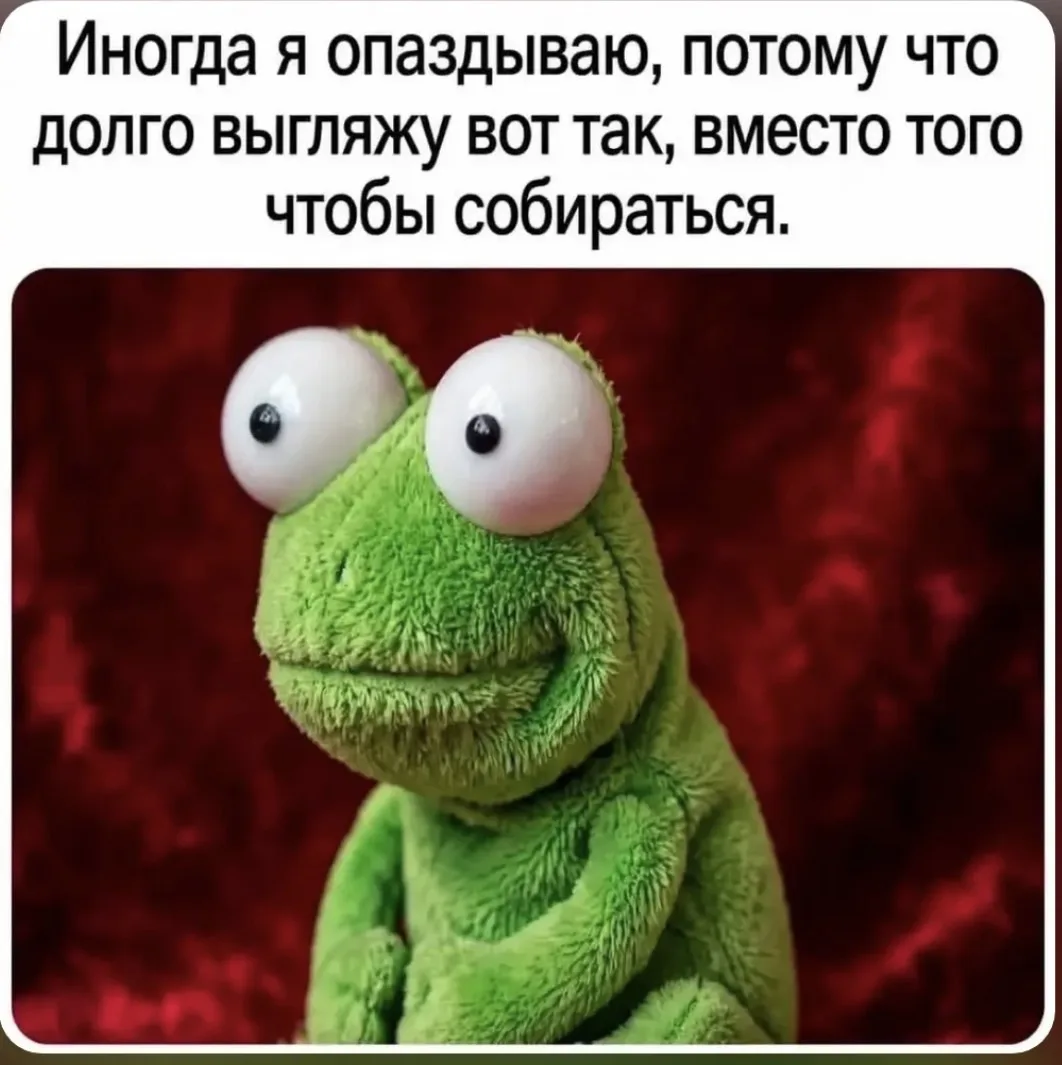 Мы?