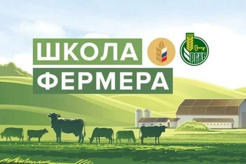 Уважаемые подписчики!