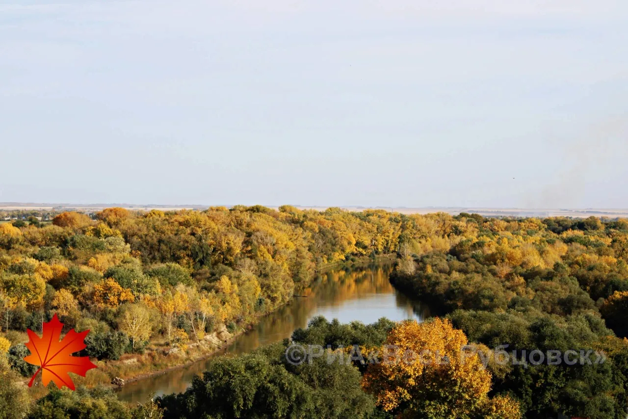 🍁Успешной Вам пятницы и солнечных выходных!🍁
