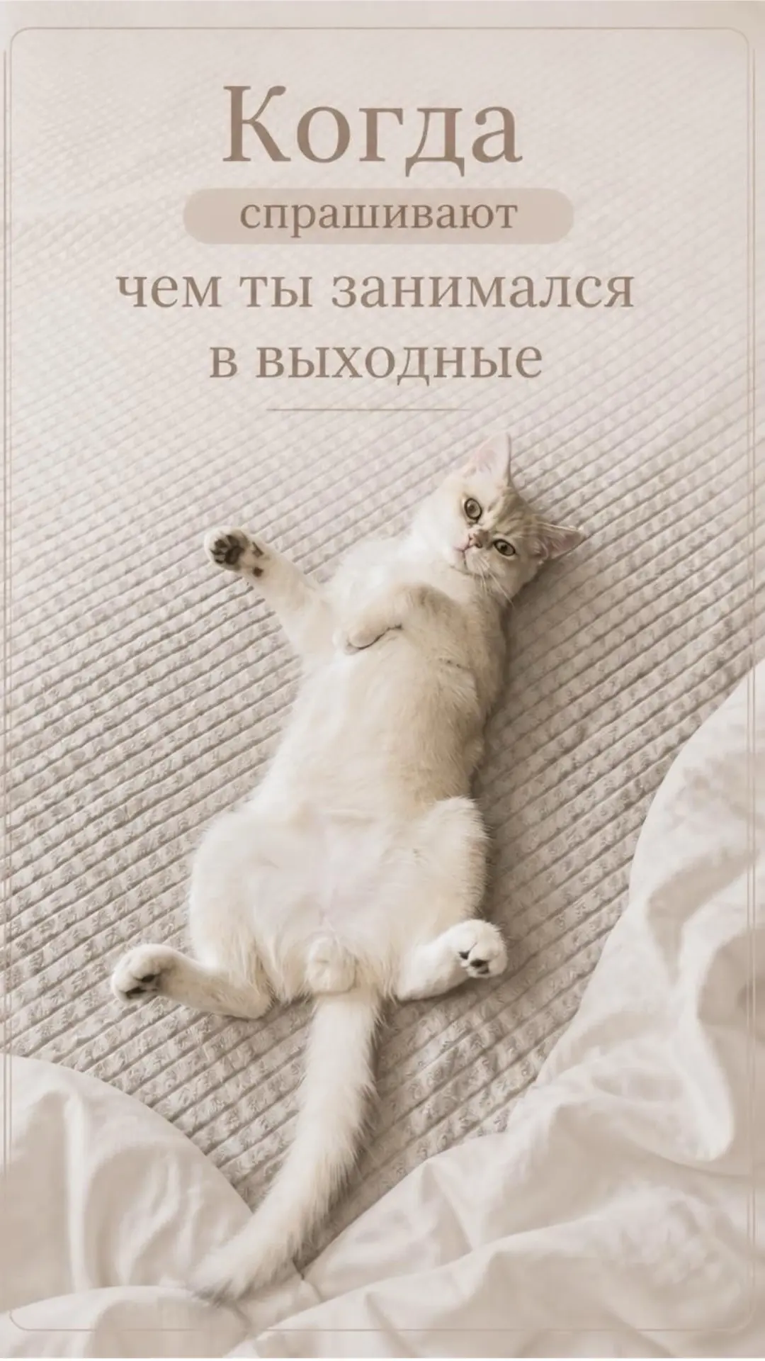 - Чем ты занимался в выходные?