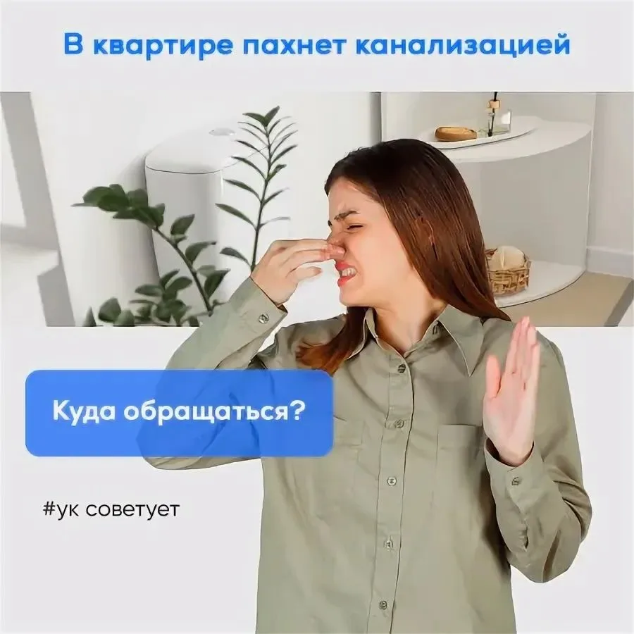 Привет, соседи! 👋Если в квартире появился запах канализации — не паникуйте, чаще всего...