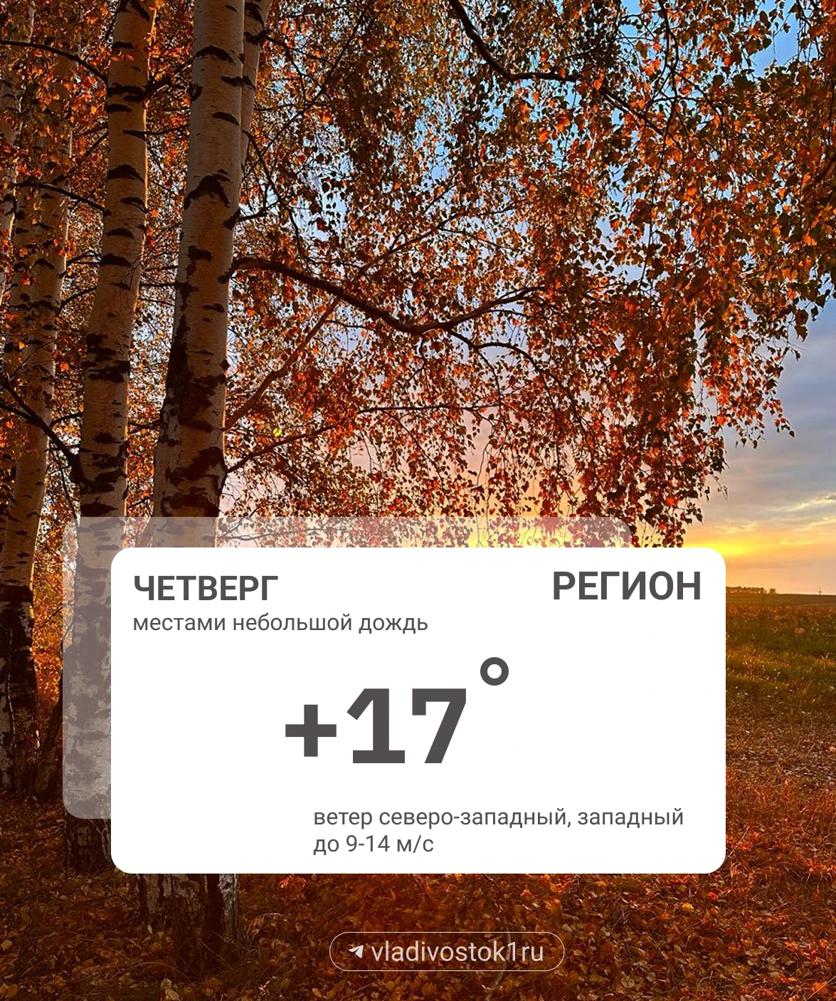 Погода 1 октября.