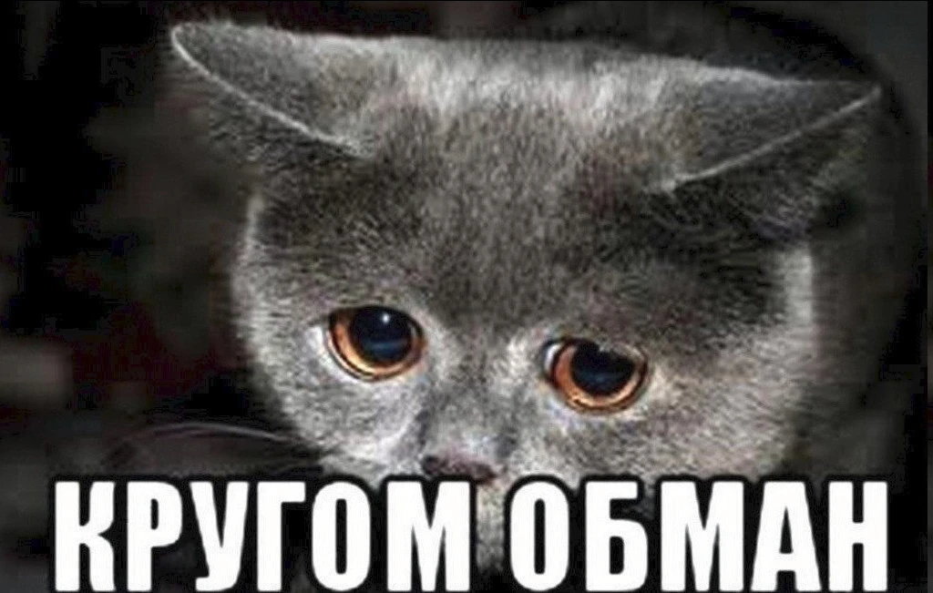 Продал свою машину, чтобы купить иномарку. В итоге остался и без денег, и без автомобиля

Житель Тро