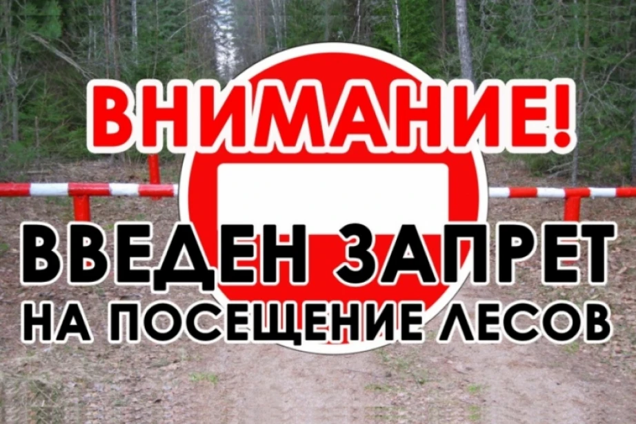 В связи со сложной пожароопасной обстановкой на территории края введено ограничение пре...