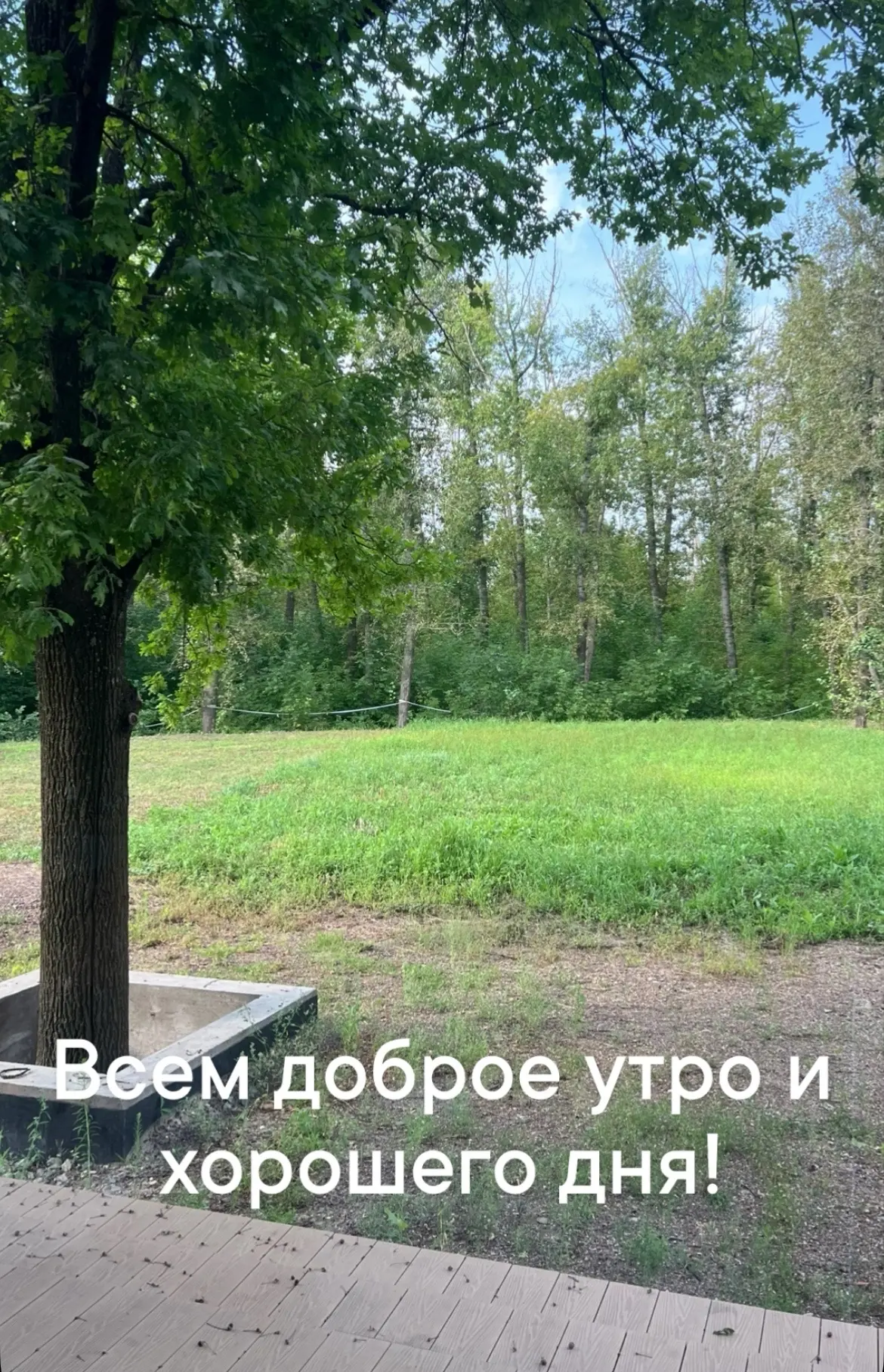 У меня в планах на сегодня домашние дела, дела девочек и  много организационных дел.

У девочек сего