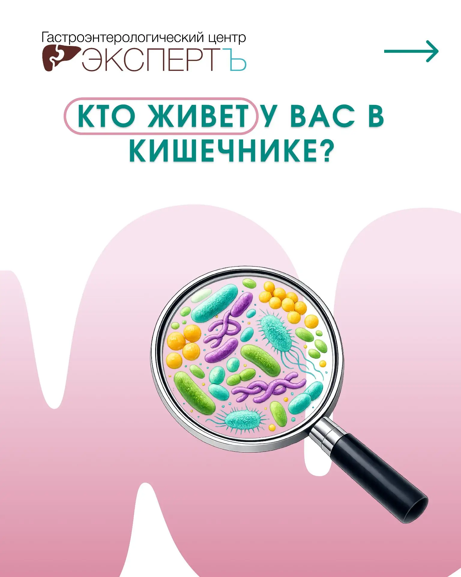 🦠 Кто живет у вас в кишечнике?

Если вам когда-либо казалось, что вы проживаете эту жизнь в одиночк