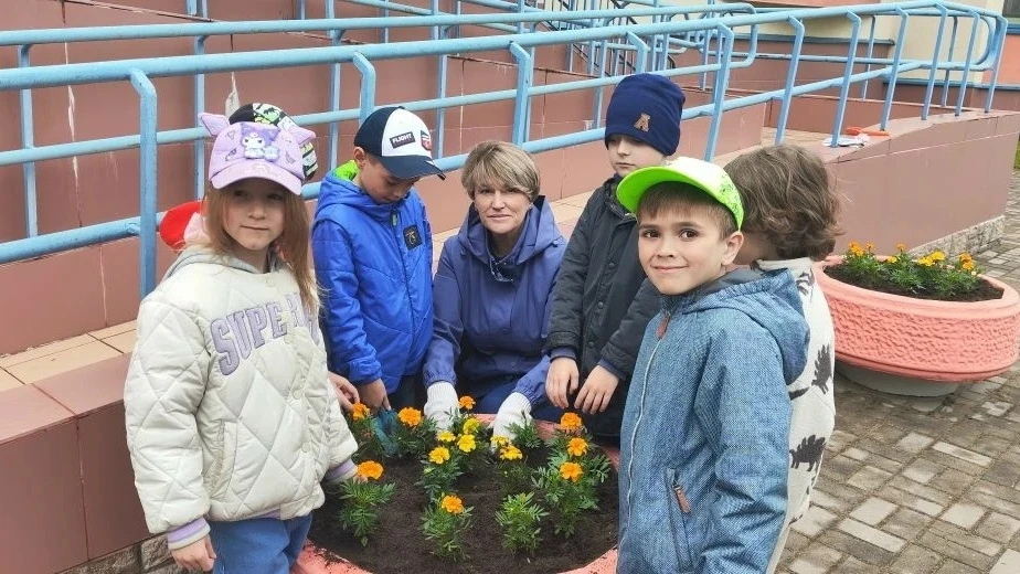 🌼 Бархатцы для детского сада