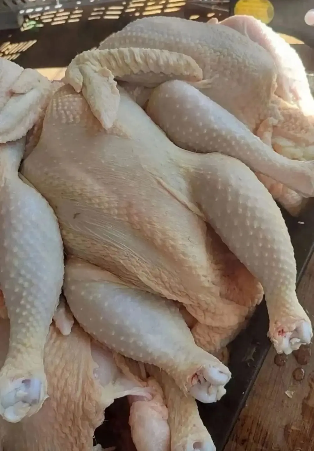 Мясо домашнего бройлера. Забой под заказ. Птицы выращены на натуральных зерновых кормах...