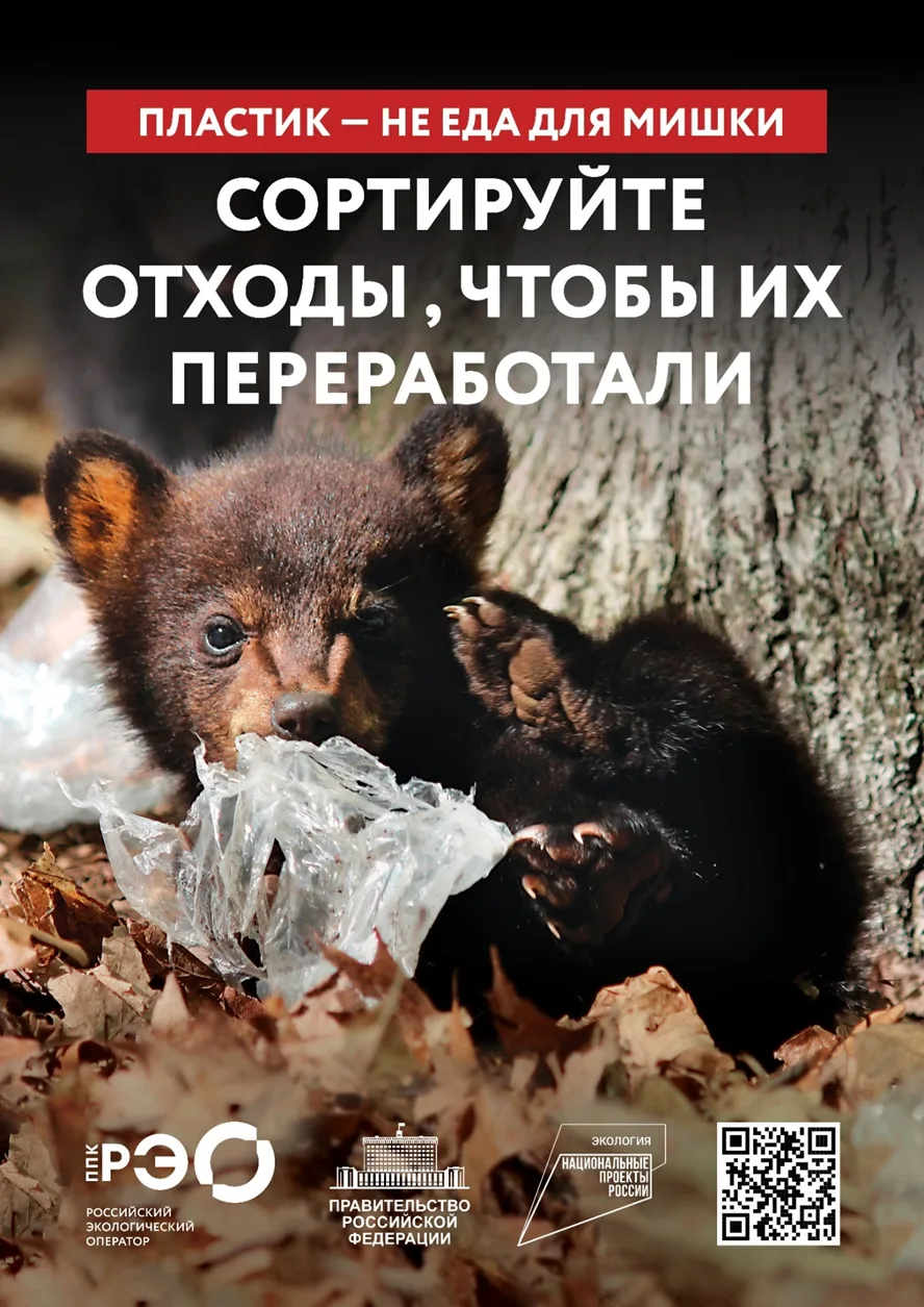 Сортировать мусор – это просто!
Сортировка мусора – один из лучших способов оказать позитивное влиян