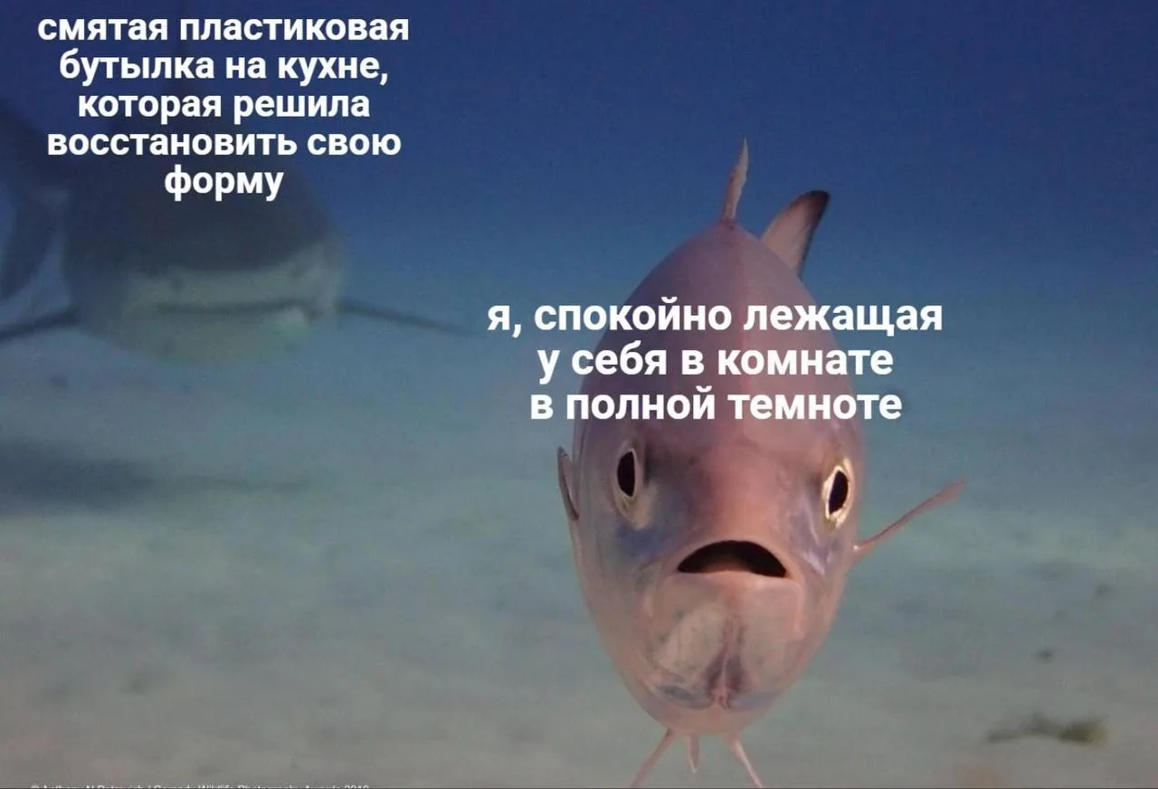 Гагатушка