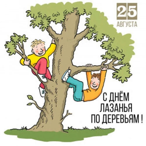 🌳 Сегодня — День лазания по деревьям!