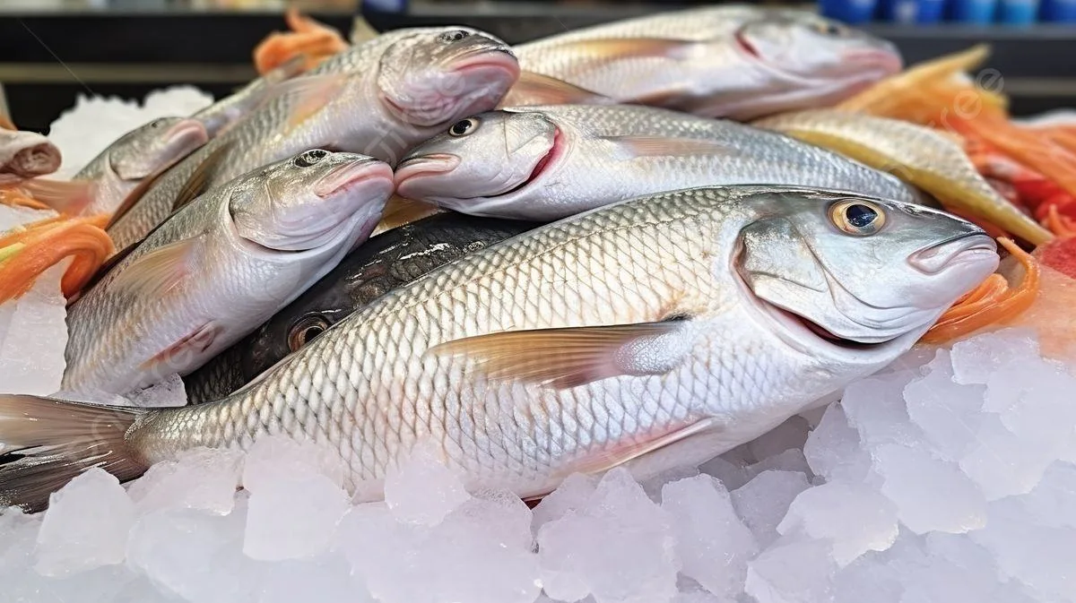 🐟 Рыба и сохранение памяти с возрастом