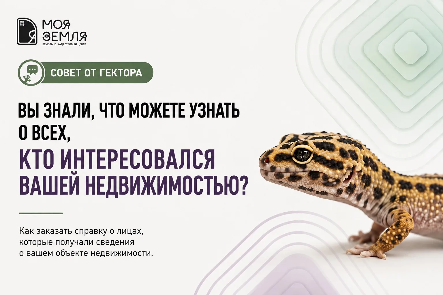 🦎КТО ИНТЕРЕСОВАЛСЯ ВАШЕЙ НЕДВИЖИМОСТЬЮ?