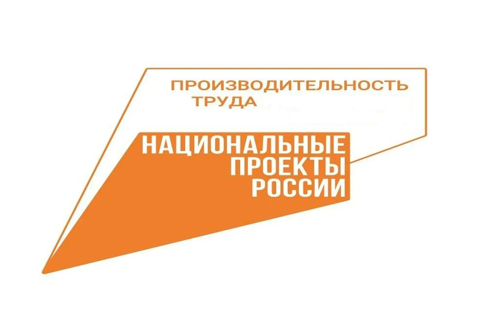 ЛОГАУ «Бокситогорский КЦСОН» при поддержке проекта смог сформировать более понятные и р...