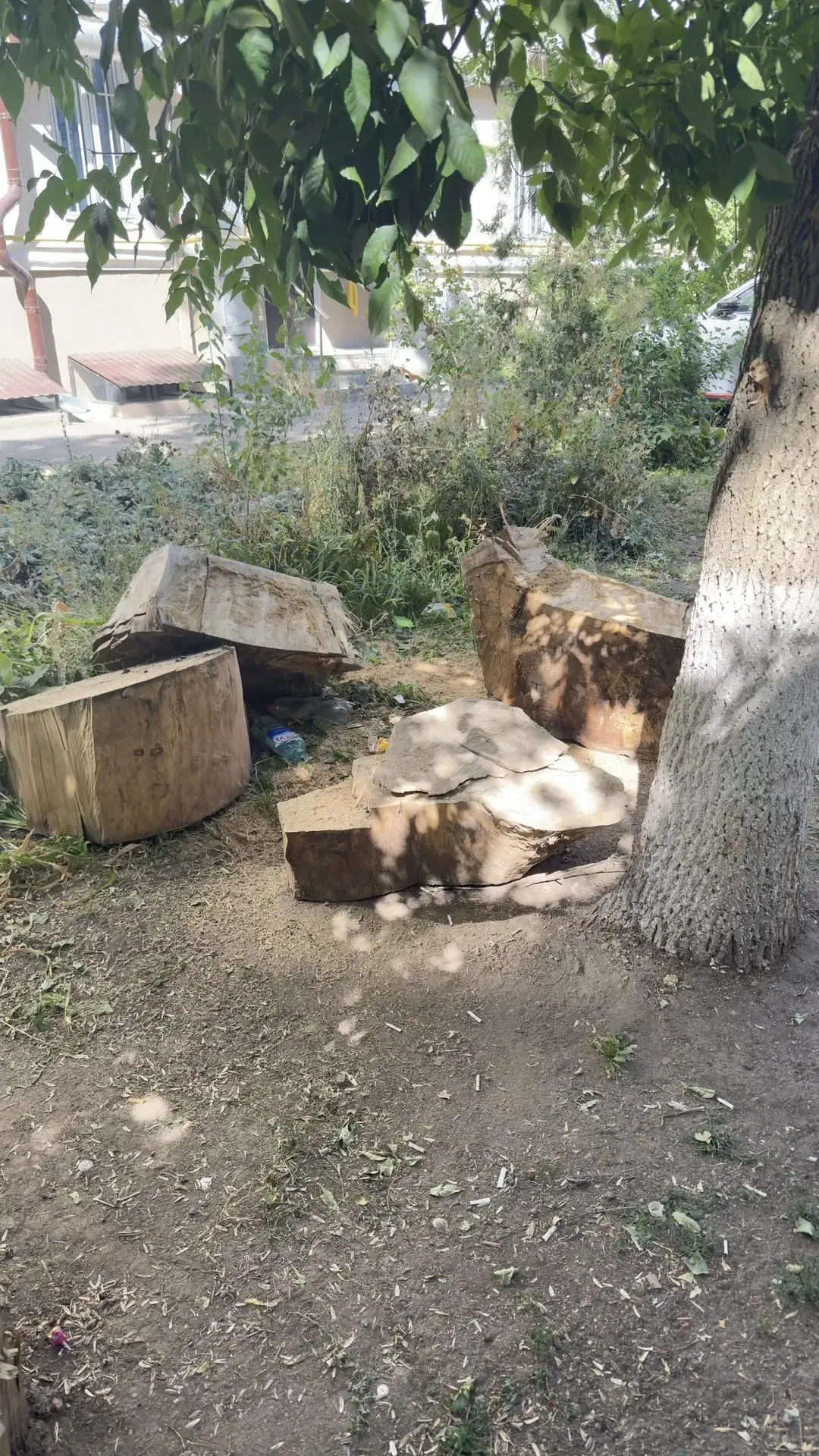 🌳 Хорошие новости с пр. Ленина, 223! 🌳Проводятся работы по благоустройству придомовой...
