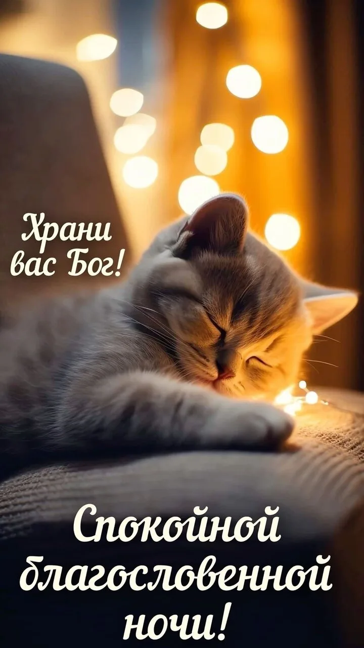 Доброе утро | Подпишись👇🏻