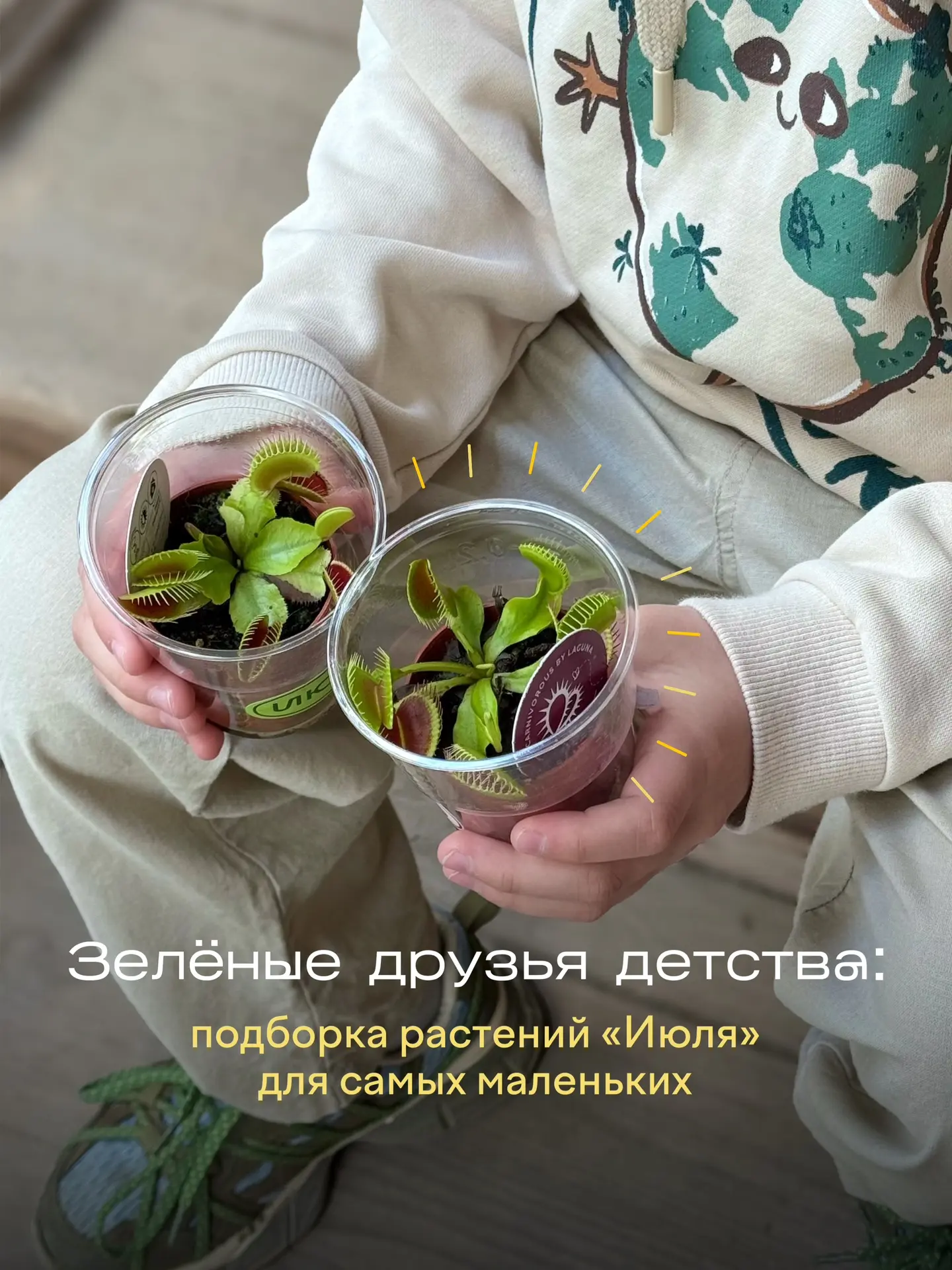 К вашему вниманию — детская подборка зелёных друзей 🌱🪴