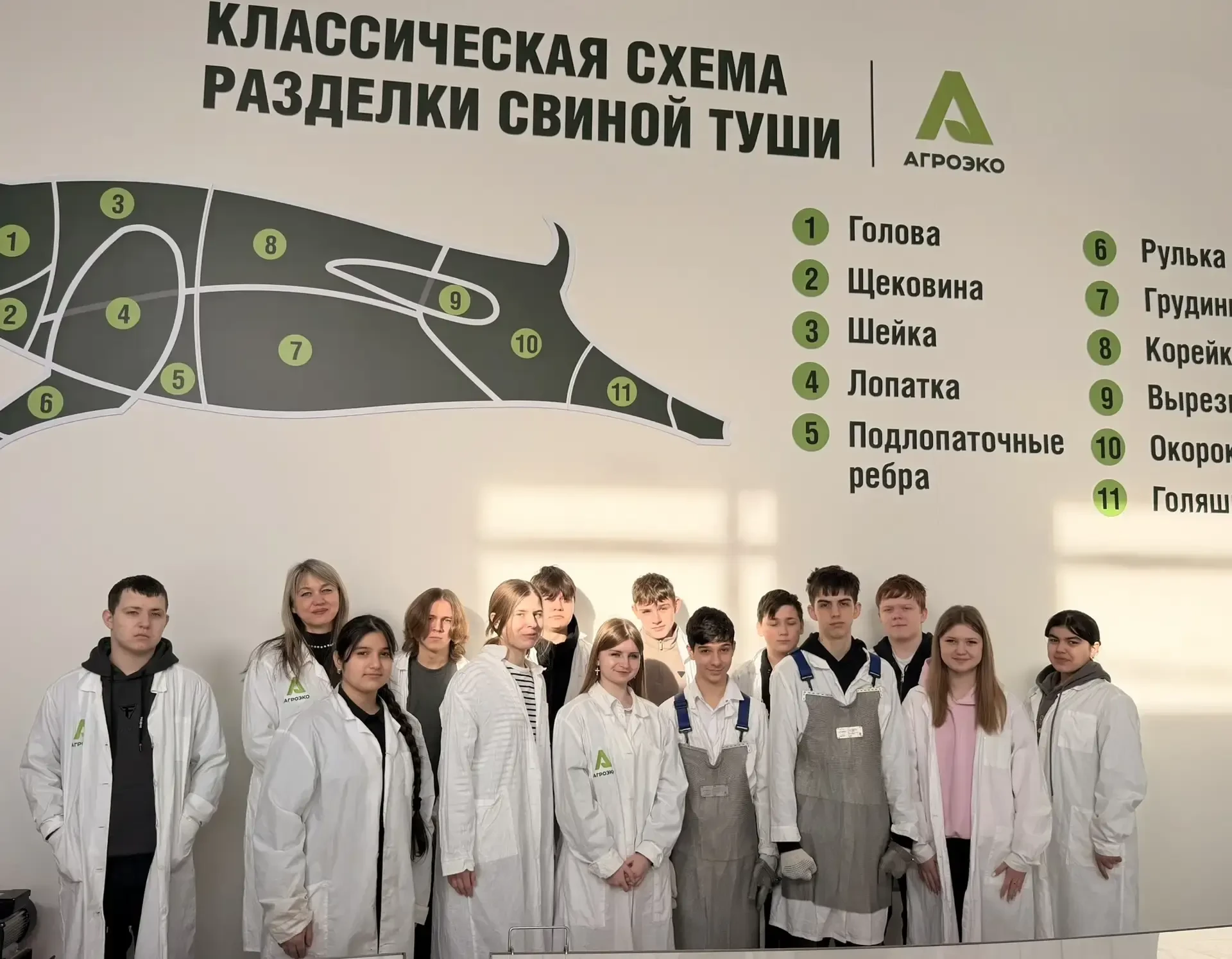 💫 Профессиональные пробы -  это погружение в  мир профессий. Пробы становятся всё боле...