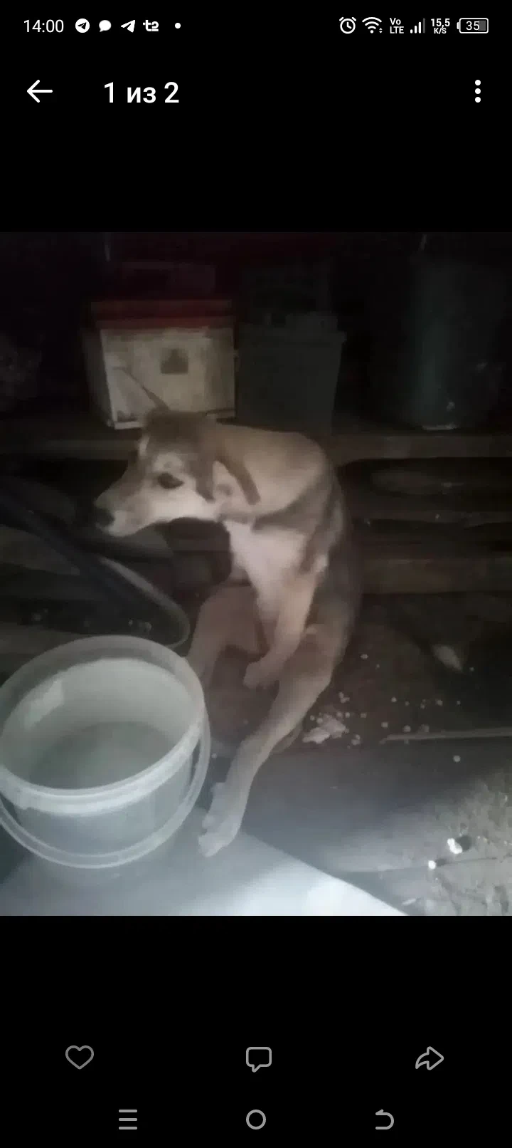 МАЛЫШКА ПЛАЧЕТ И ПРОСИТ О ПОМОЩИ 💔❤️‍🔥