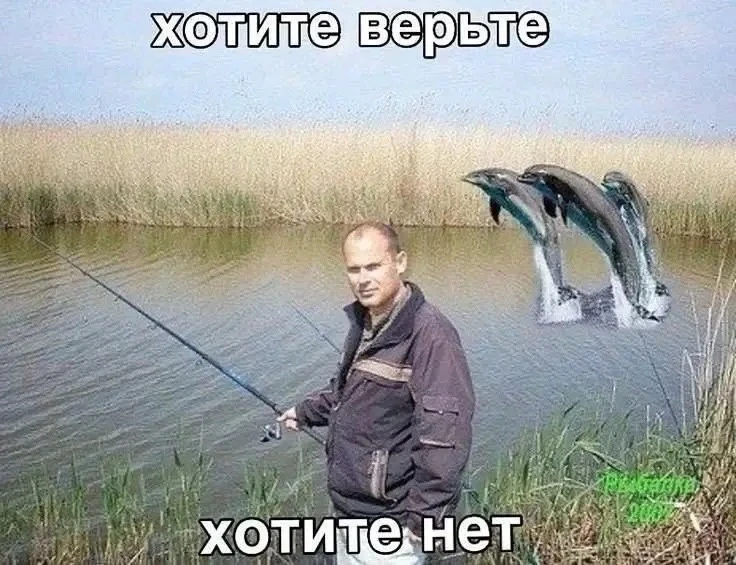 🐟 В Шершневское водохранилище выпустили больше 200 тысяч мальков сазана