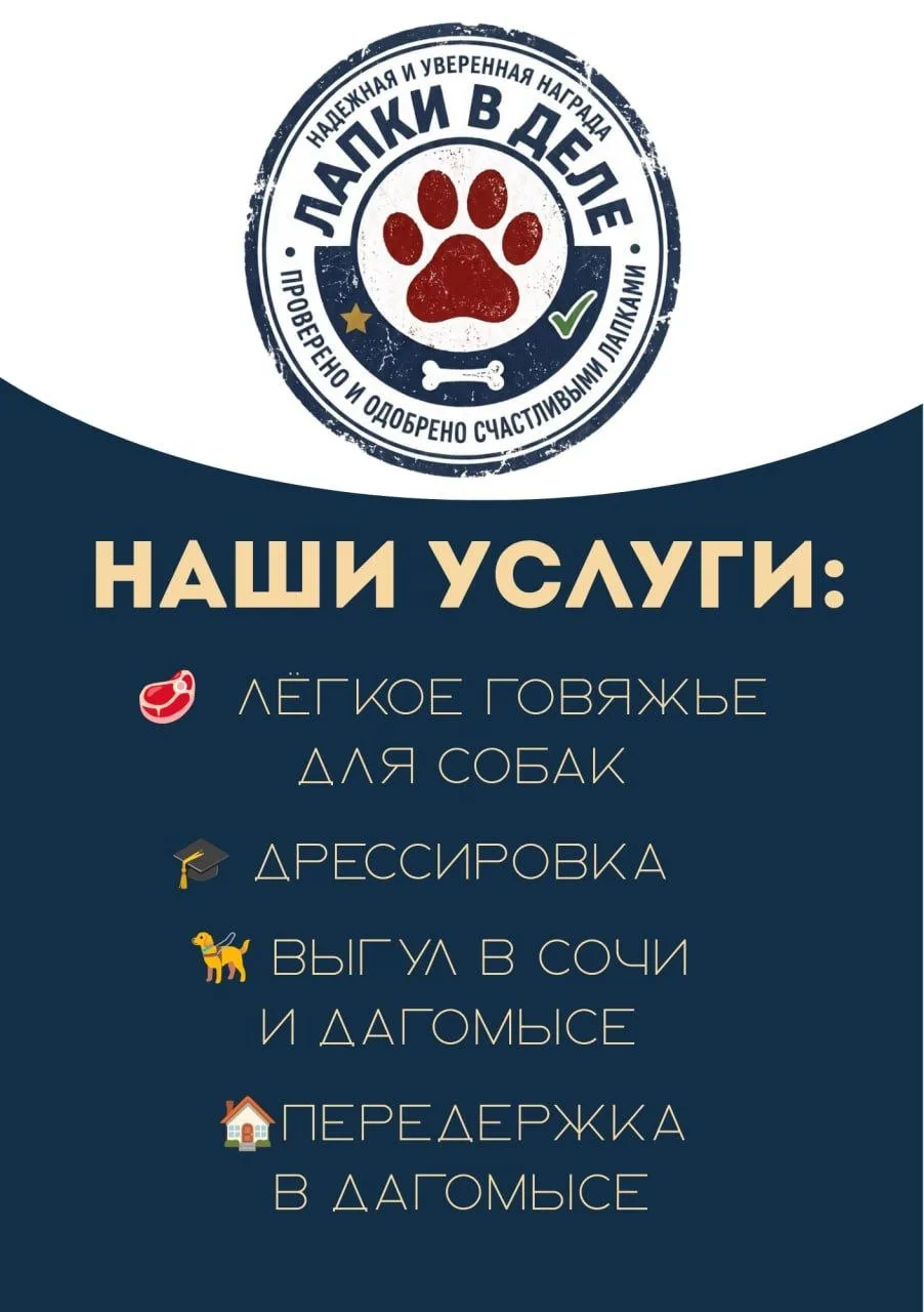 ❗️Адлер/Сириус - звуки, которые вы слышите это работа ПВО по БПЛА.