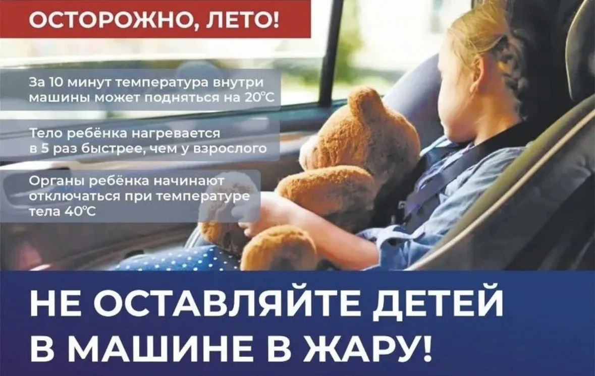 ▶ Температура в салоне быстро становится опасной
Даже в тени при умеренной погоде салон нагревается 