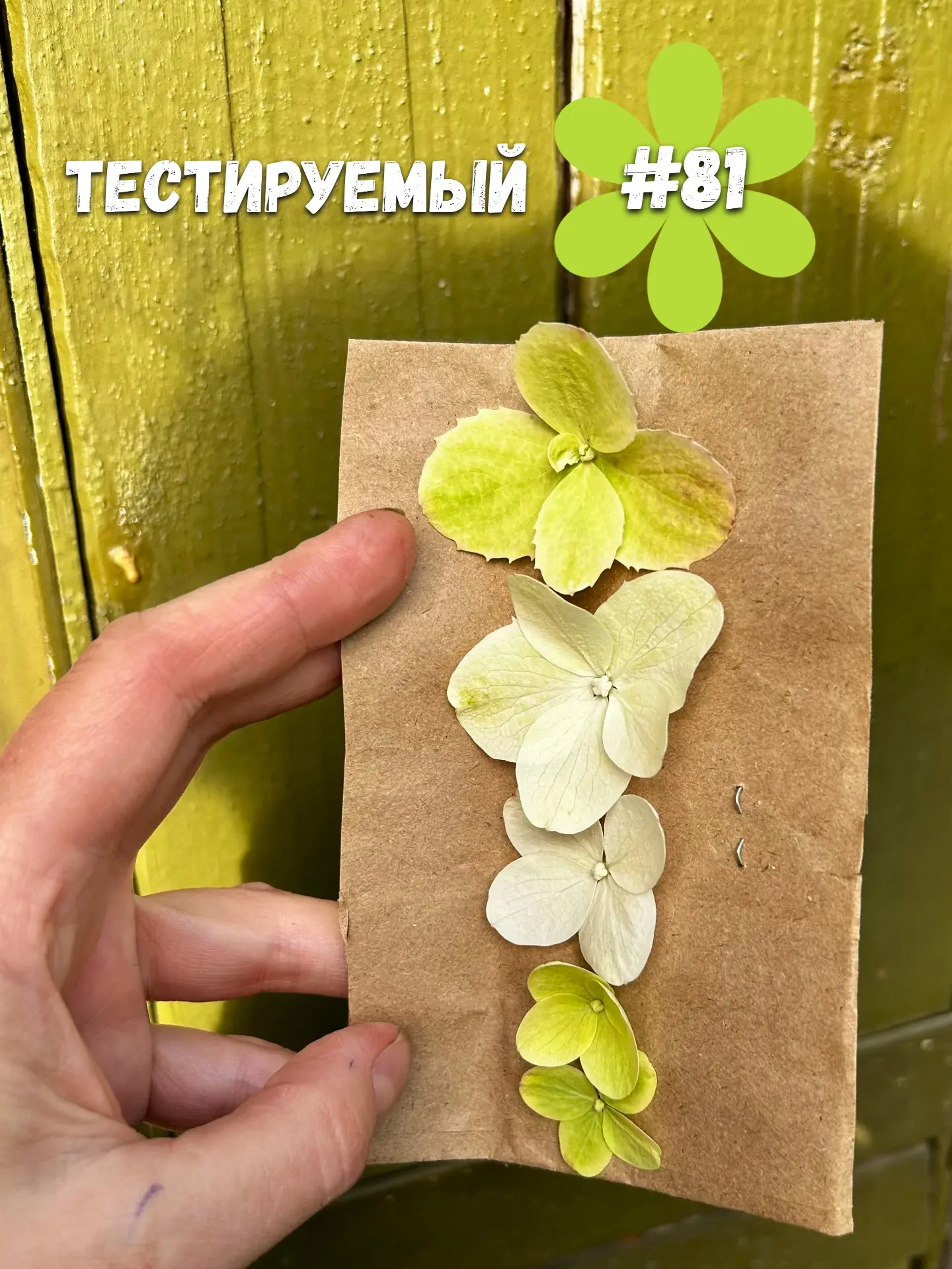 Последнее время я даю обещания направо и налево. Приходится выполнять.
