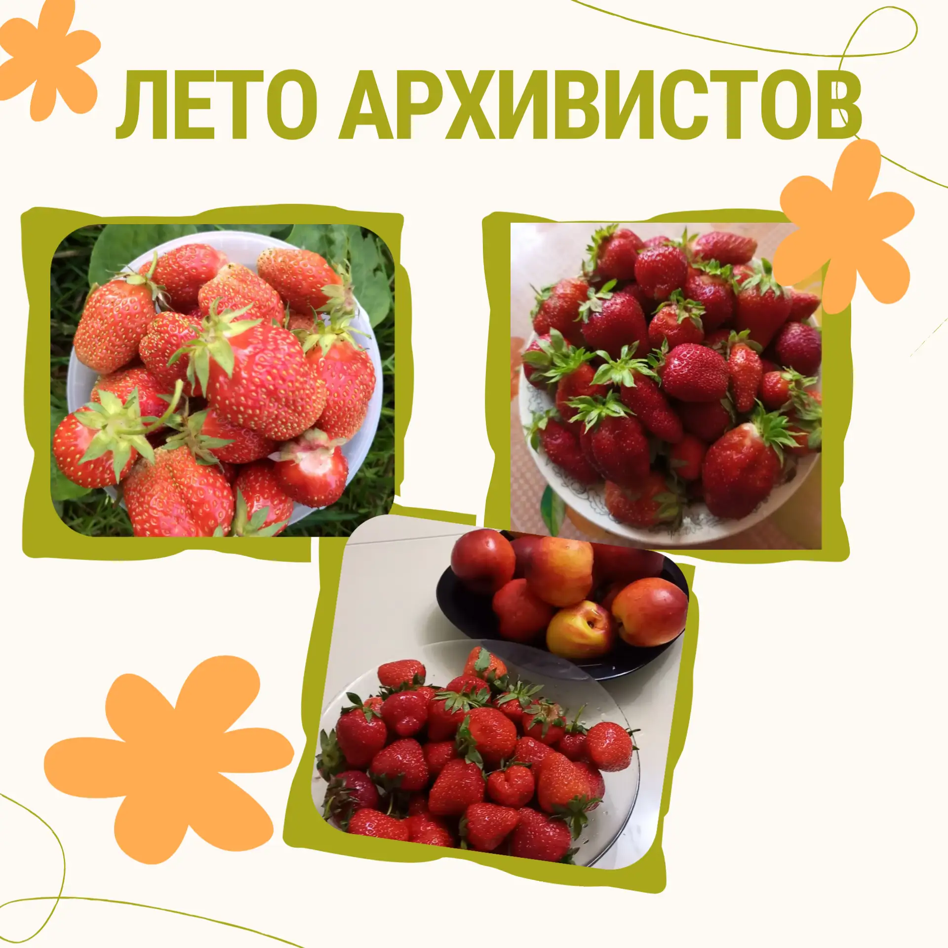 Доброго воскресного утра! Мы снова с рубрикой #ЛетоАрхивистов, которое щедро одаривает ...