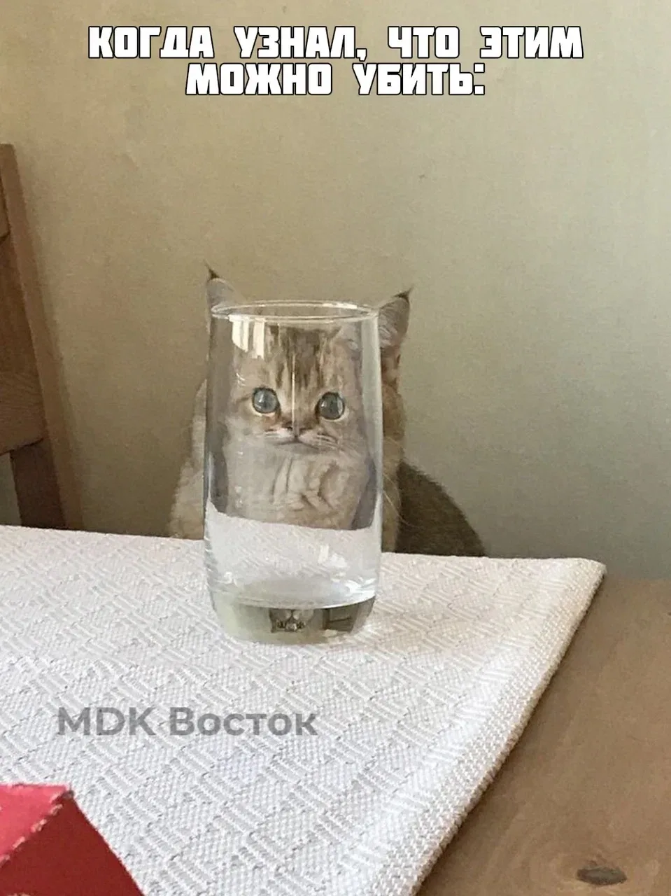 🥃 Жителя Приморья арестовали за смертельное избиение знакомого стаканом